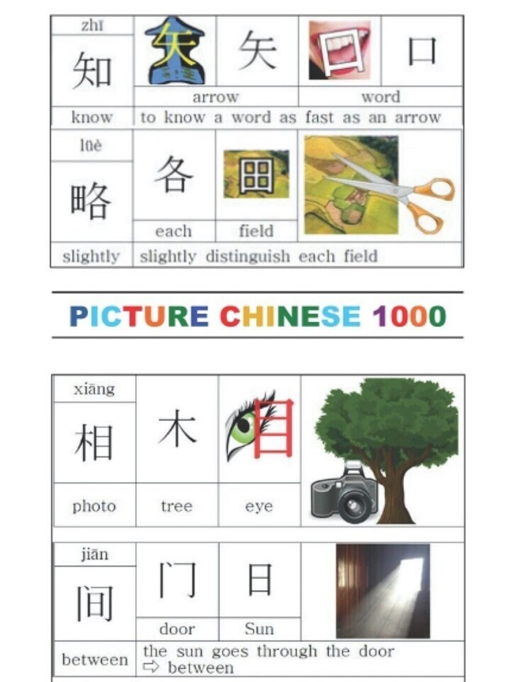 Picture Chinese 1000 (The Complete Series)